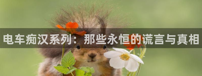 变身emergence哔咔漫画：电车痴汉系列：那些永恒的谎言与真相