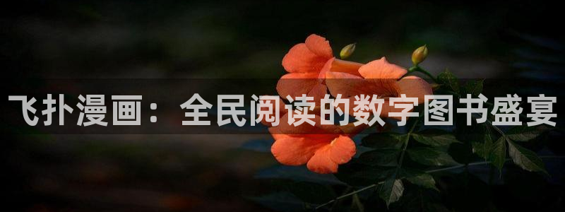 哔咔漫画账号分享：飞扑漫画：全民阅读的数字图书盛宴